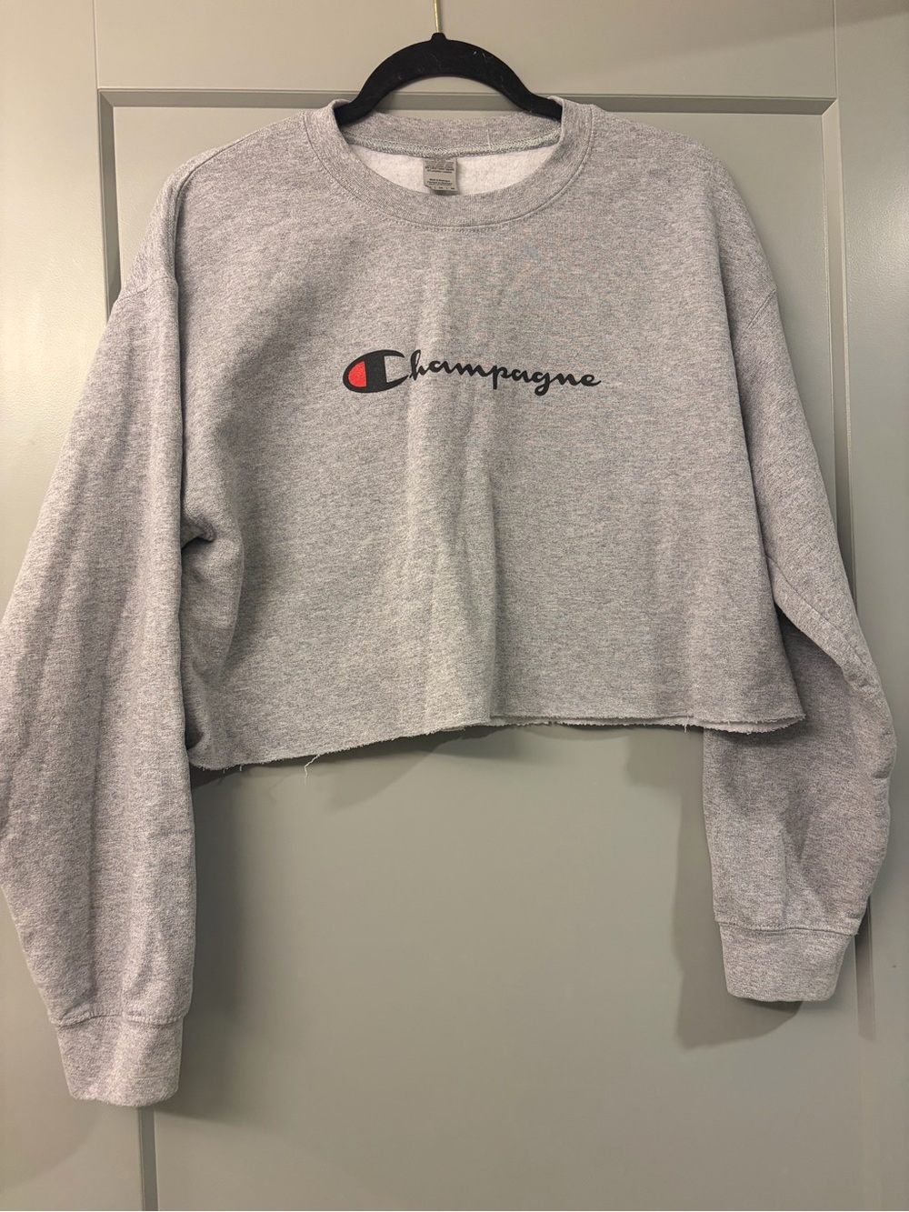 Champion Inspired Gray Cropped Sweatshirt with Black Script and Red Accent